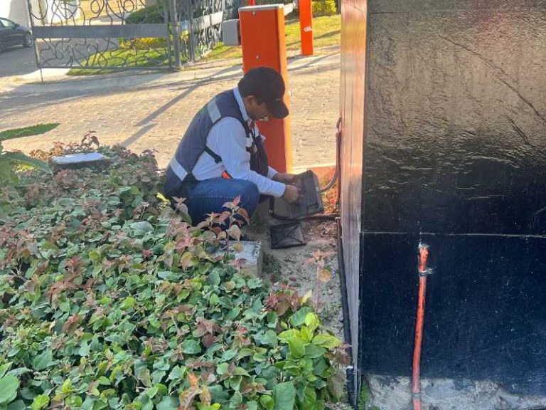 inspeccion plagas